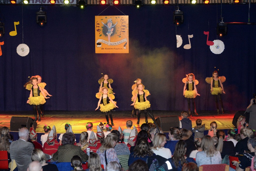 ../Images/Dansmariekefestival 2017 245.jpg